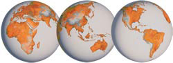 International Mail Advisor